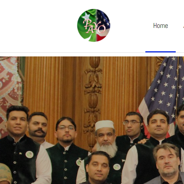 Pakistani Charity Organization in USA - Pakistani American Youth Organization